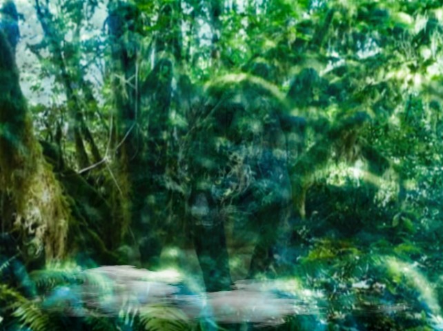 Screenshot (253)