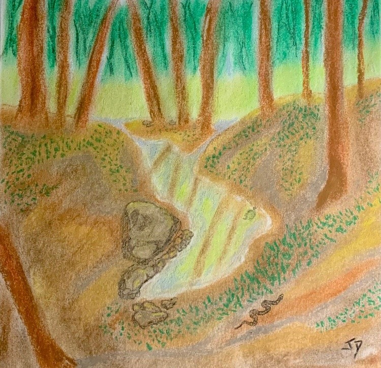 Deep in the woods snake turtle