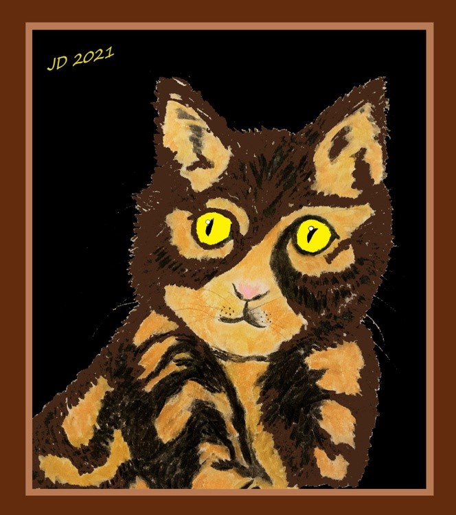3d Cat