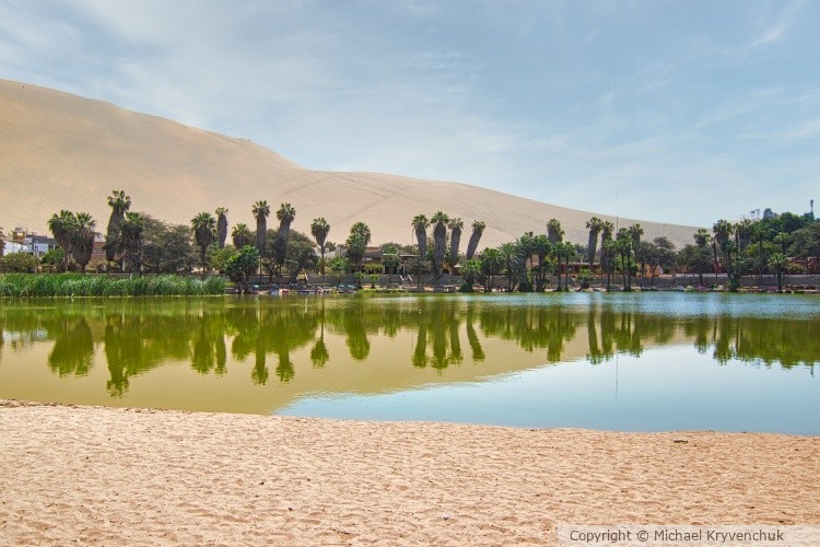 Oasis Reflection