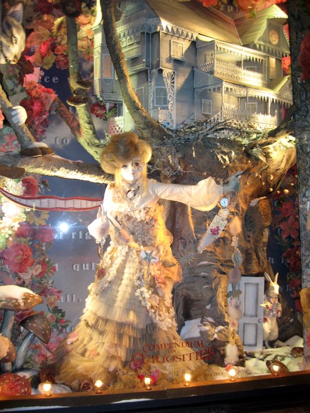 Bergdorf Window In NYC 2009