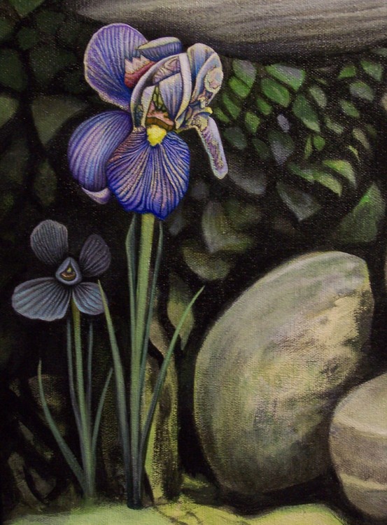 Iris floral study