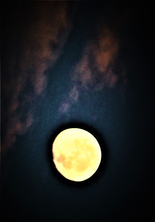Moon