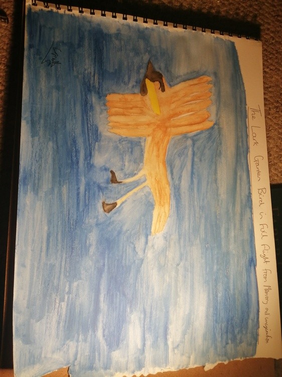 Lark flying 