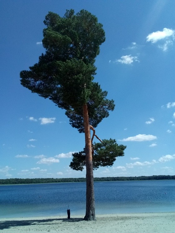 IMG 20180706 141023