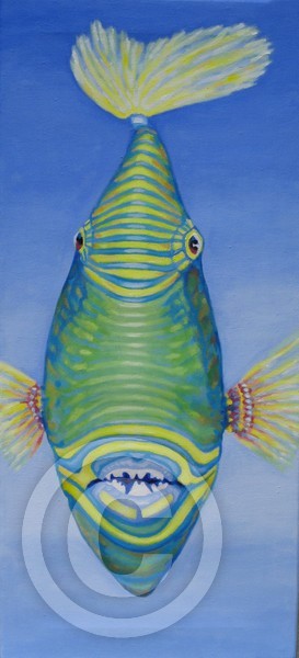 large triggerfish