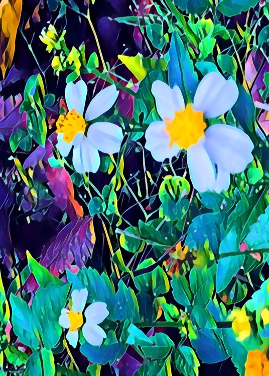 Spring Time In Florida