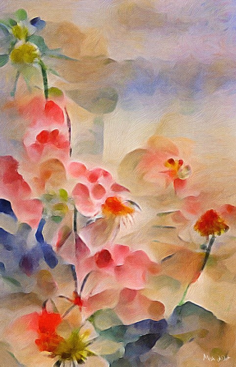 Japanese Garden