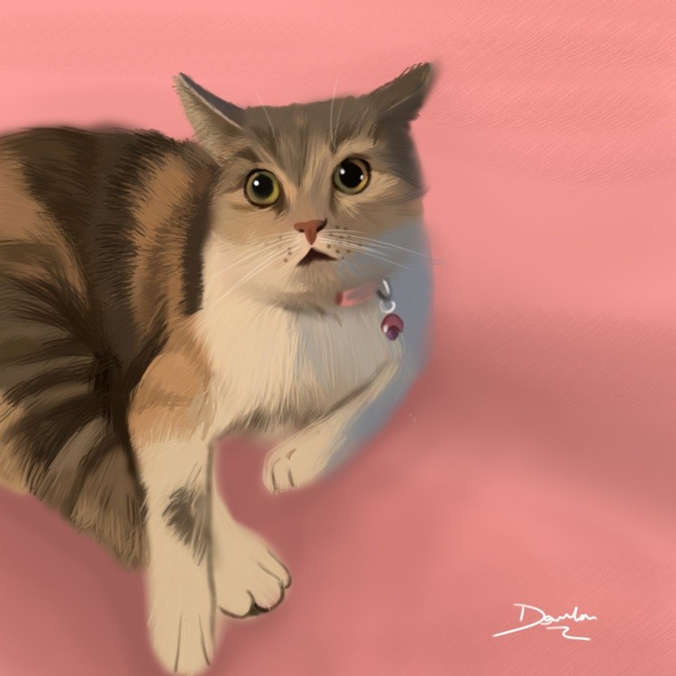 cats