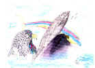 rainbowdolphins