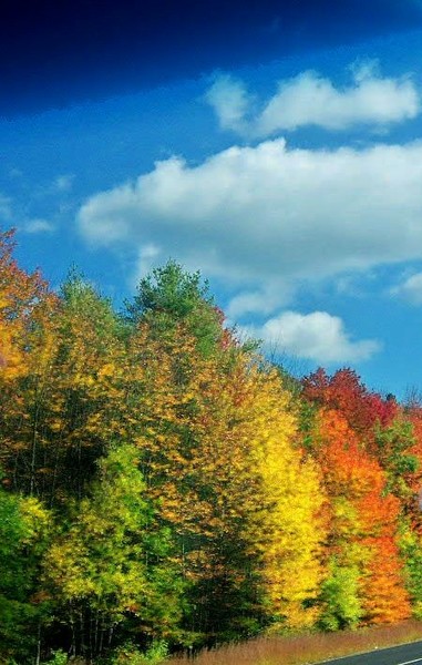 Fall Beauty