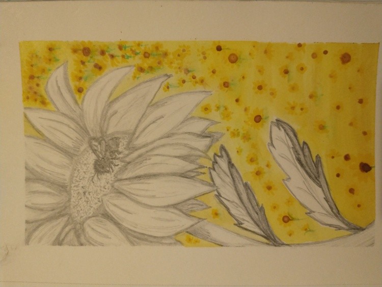 Sunnyfields