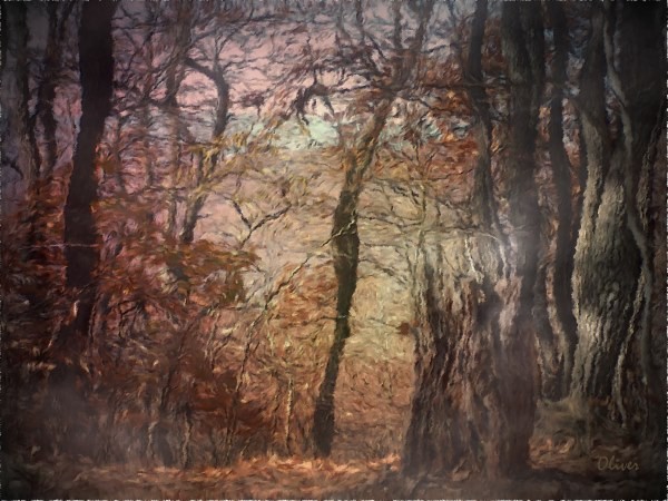 Mountain Through The Trees