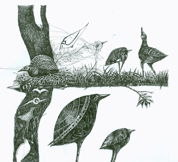 Drawing