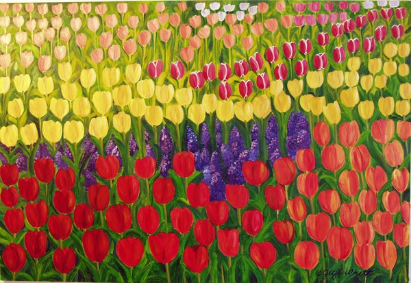 Tulips in Lisse, Holland