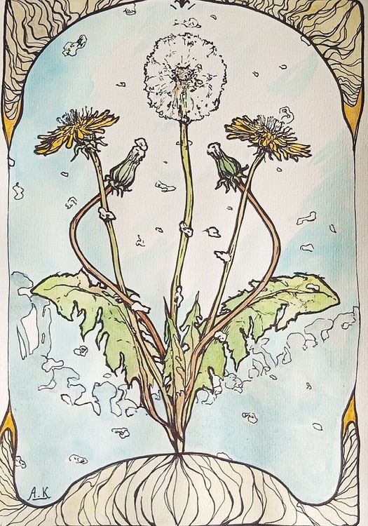 Dandelion
