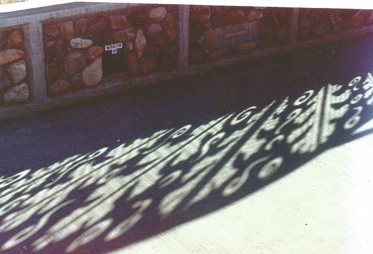leaf 17