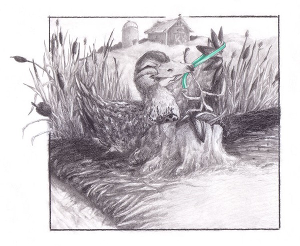 Mama Duck (a)