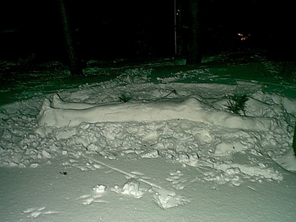 recling snow flake