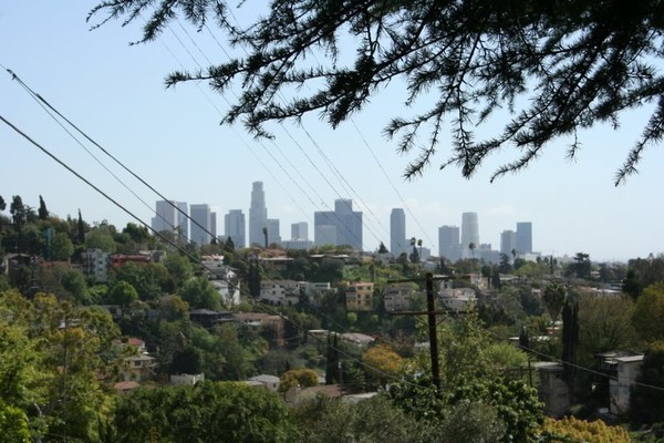 LA