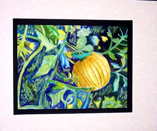 Pumpkin