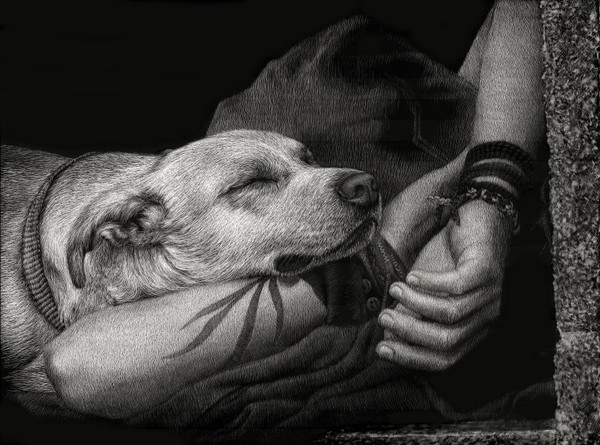 Homeless, But Not Alone