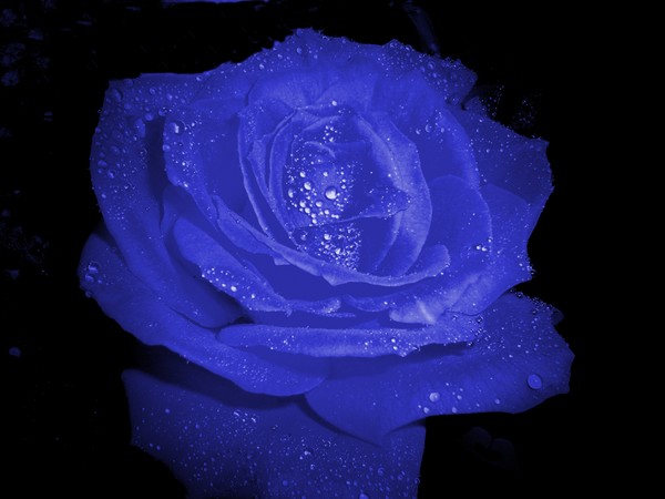 Cobalt