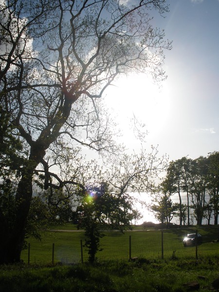 The Sun in Scotland