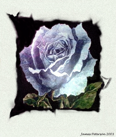 Blue Rose