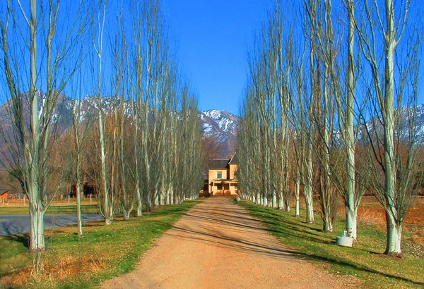 The Road to Wheeler Farm