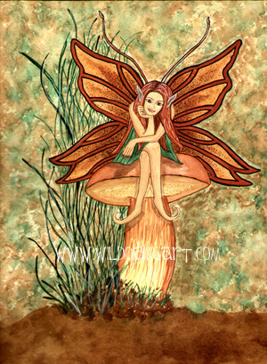 Cep Shroom Fae
