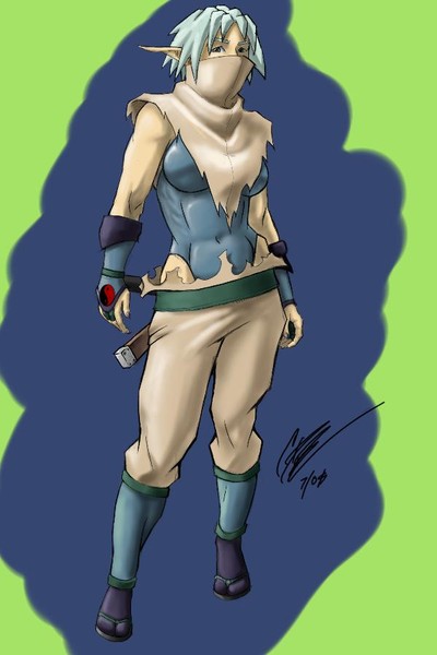 elf ninja