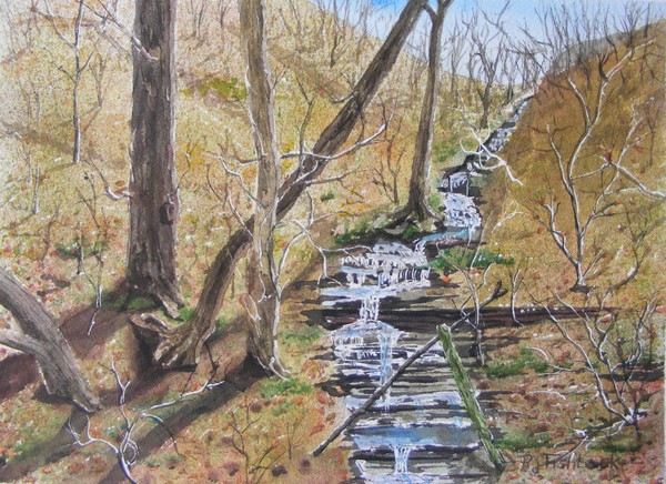 Winter runoff