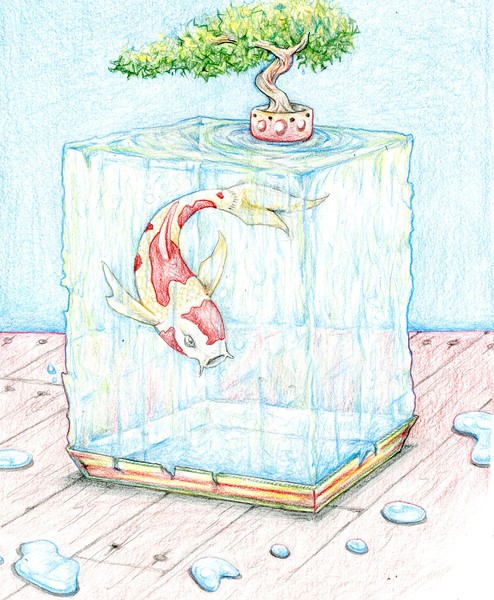 Koi
