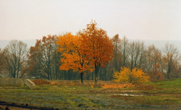 a view from my window