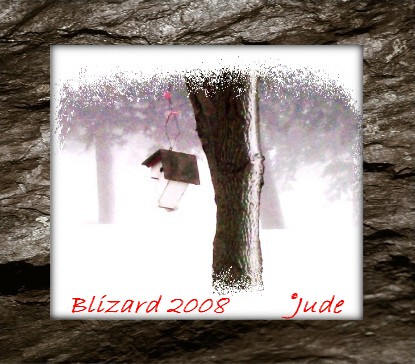Bilizard 2008