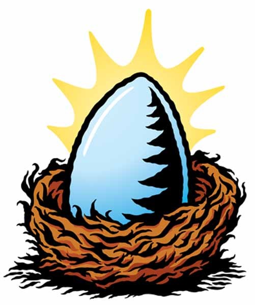 Nest Egg