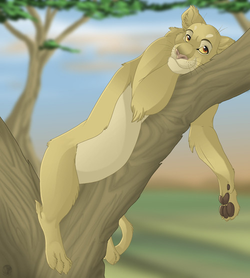Lazy Lioness