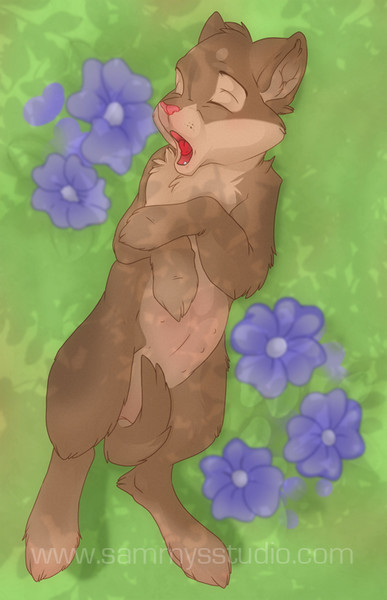 Petal