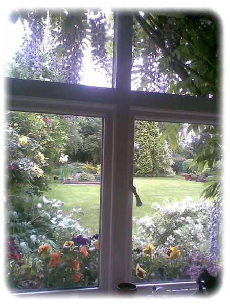 Joys View