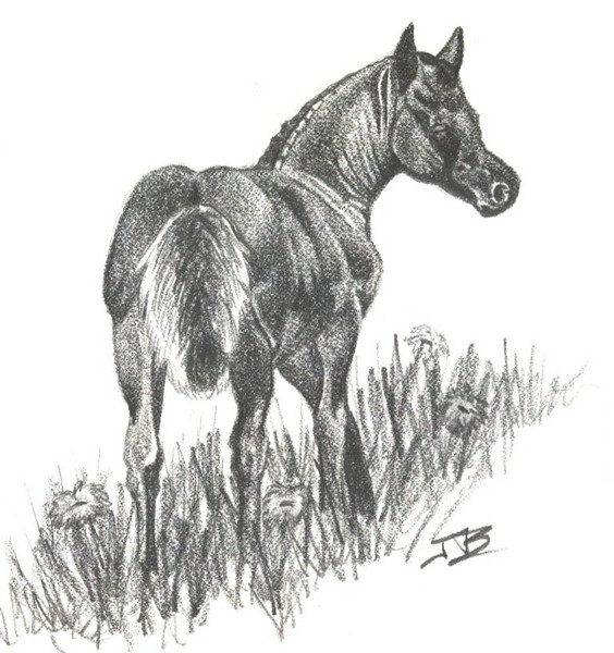 Diego