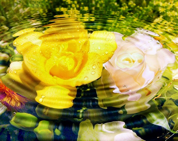 Rippled Flowers