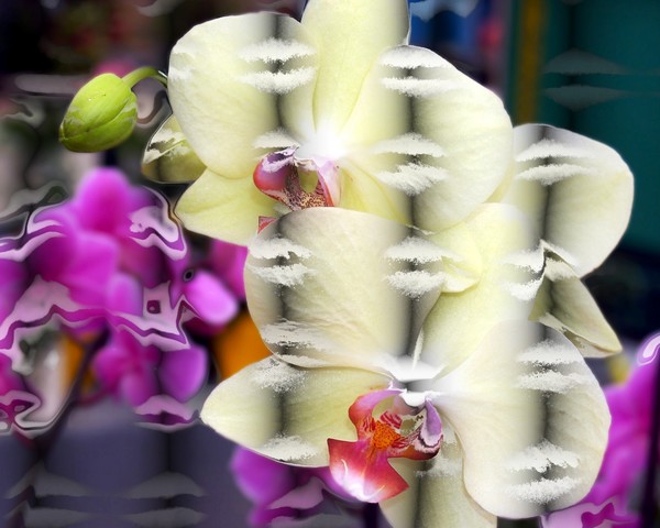 Playing with Photo's.