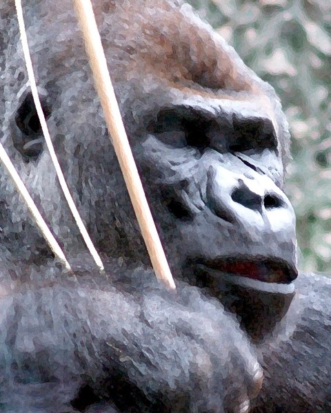 Very dangerous animal