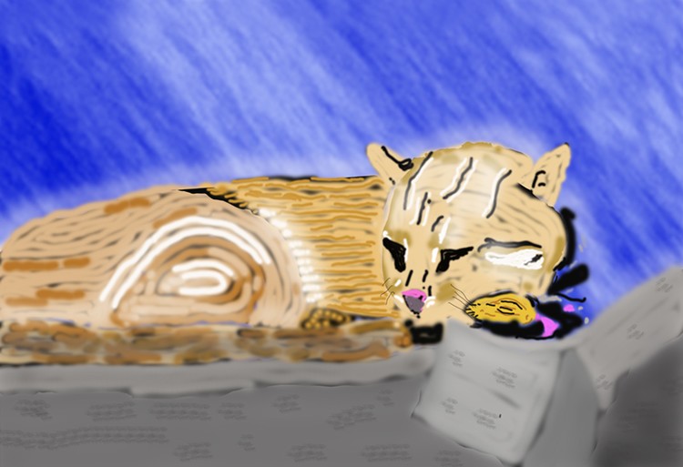 TIGER SLEEPING  O925