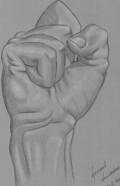 Fist
