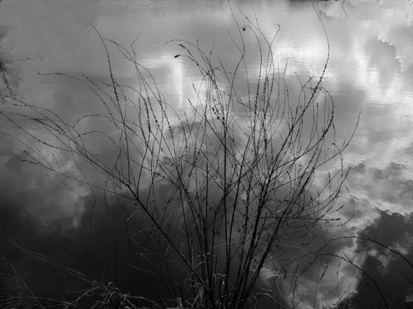 Storm Approaching