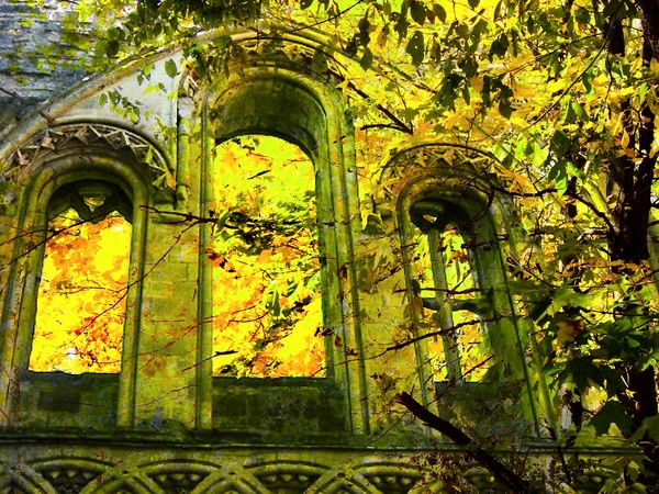 Golden Courtyard