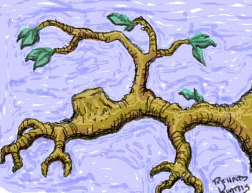 The Branch