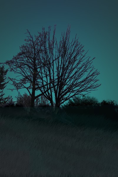 Midnight Sky